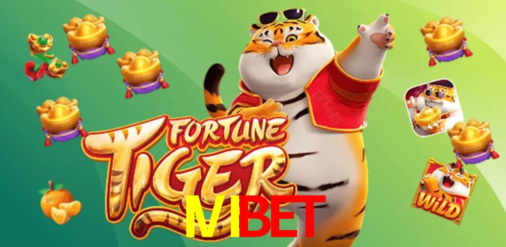 Experiência VIP IVIBET