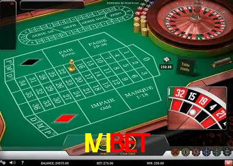 Descubra a Essência do IVIBET: Nossa História e Compromissos